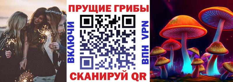 Псилоцибиновые грибы Magic Shrooms  Купить закладки  Дзержинск 